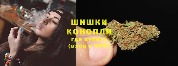молекула духа Волоколамск