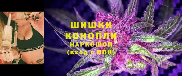 шишки Волосово