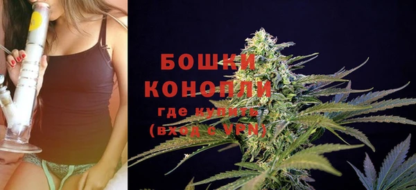 молекула духа Волоколамск